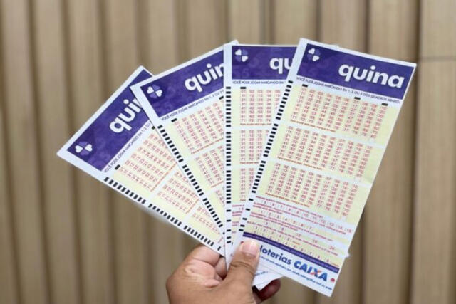 telão da quina das loterias da caixa
