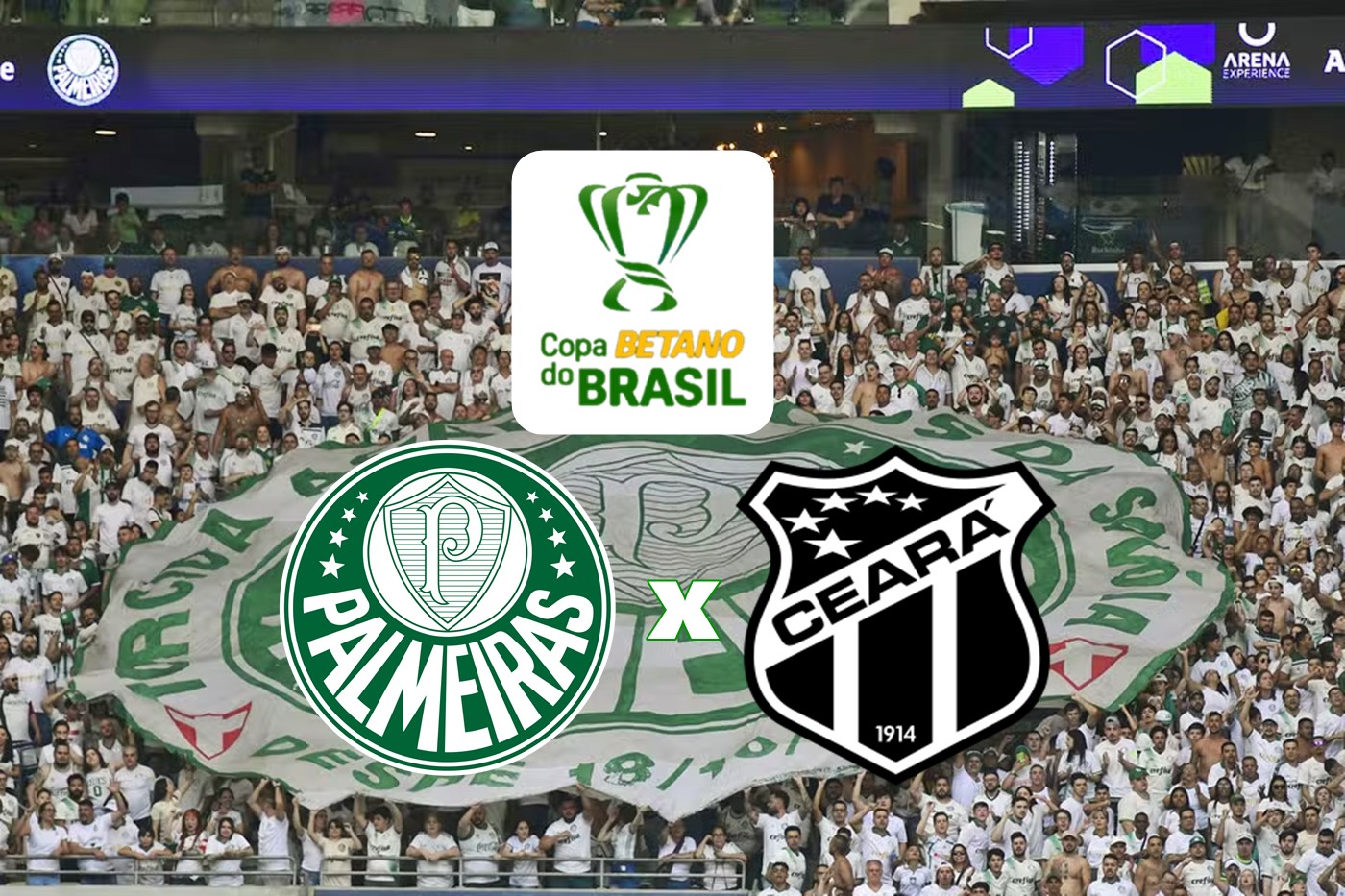 Como assitir Palmeiras x Ceará ao vivo hoje pelo celular, tablet ou computador