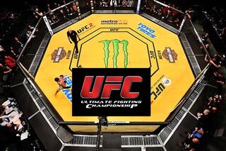 Ultimate Fighting Championship UFC