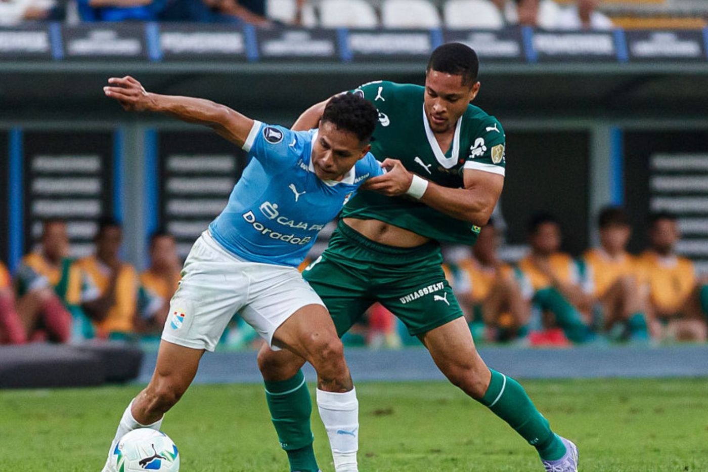Veja onde vai passar o jogo do Palmeiras ao vivo hoje