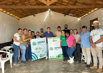 Prefeitura de Nossa Senhora da Glória Impulsiona Renda com Curso Gratuito de Produção de Frangos e Galinha Caipira Poedeira - Imagem/Acervo/Prefeitura Municipal